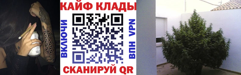 Наркота Кирсанов APVP  АМФЕТАМИН  Меф мяу мяу  ГАШИШ  Кокаин  Канабис 