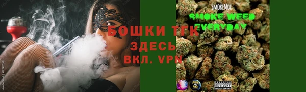 винт Гатчина