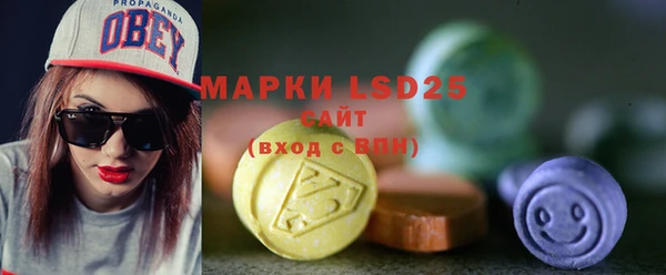 амф Кулебаки