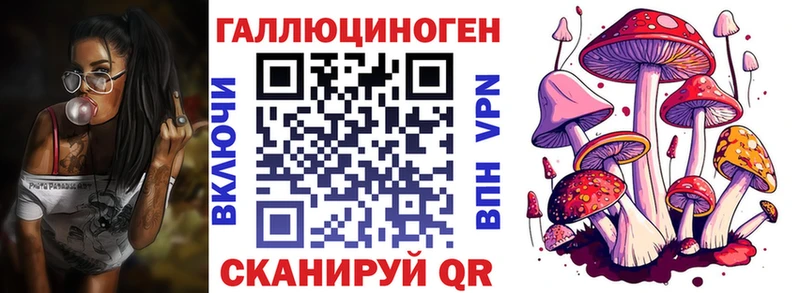 Псилоцибиновые грибы прущие грибы  Кирсанов 